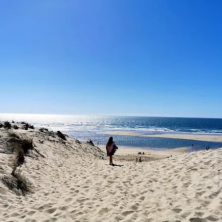 Mobil Luxueux - 40 M2 Terrasse Couverte - La Palmyre - Les Charmettes 166 -4 Etoiles Les Mathes